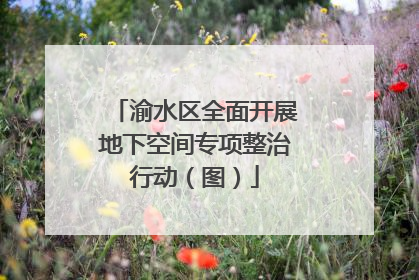 渝水区全面开展地下空间专项整治行动（图）