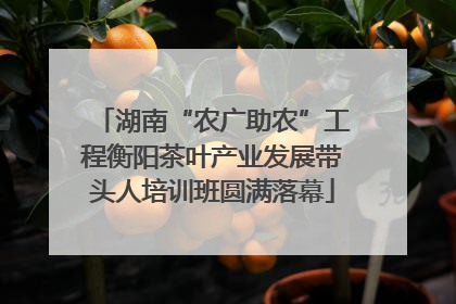 湖南“农广助农”工程衡阳茶叶产业发展带头人培训班圆满落幕