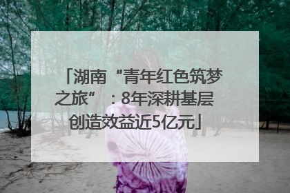 湖南“青年红色筑梦之旅”：8年深耕基层创造效益近5亿元