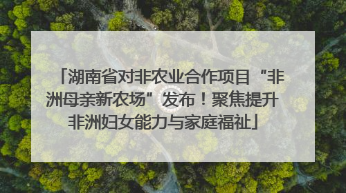湖南省对非农业合作项目“非洲母亲新农场”发布！聚焦提升非洲妇女能力与家庭福祉