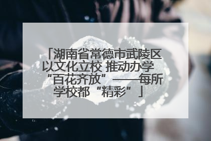 湖南省常德市武陵区以文化立校 推动办学“百花齐放”——每所学校都“精彩”