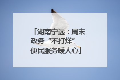 湖南宁远：周末政务“不打烊” 便民服务暖人心