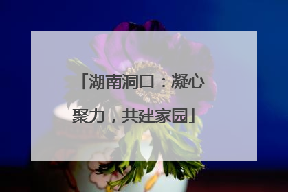 湖南洞口：凝心聚力，共建家园