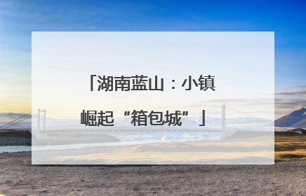 湖南蓝山：小镇崛起“箱包城”