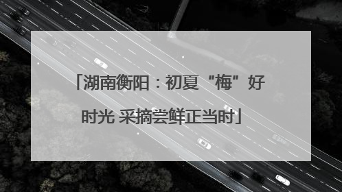 湖南衡阳：初夏“梅”好时光 采摘尝鲜正当时