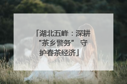 湖北五峰：深耕“茶乡警务” 守护春茶经济