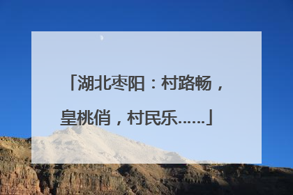 湖北枣阳：村路畅，皇桃俏，村民乐……