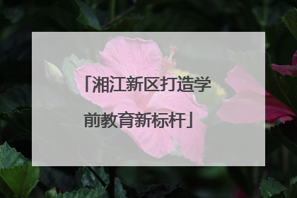 湘江新区打造学前教育新标杆