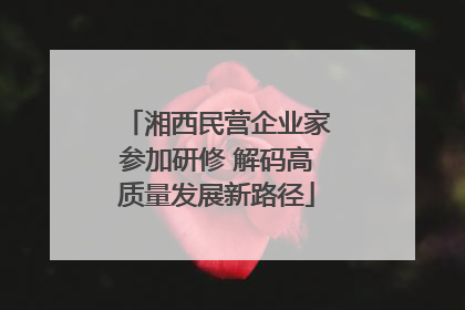 湘西民营企业家参加研修 解码高质量发展新路径