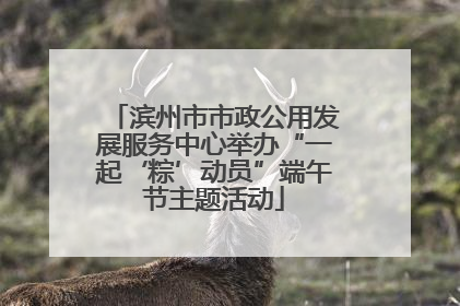 滨州市市政公用发展服务中心举办“一起‘粽’动员”端午节主题活动
