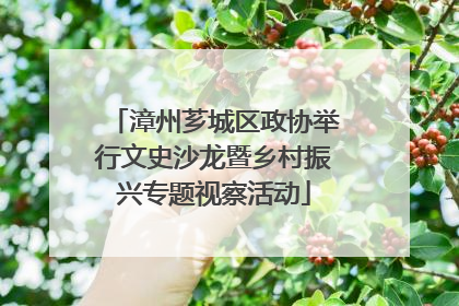 漳州芗城区政协举行文史沙龙暨乡村振兴专题视察活动