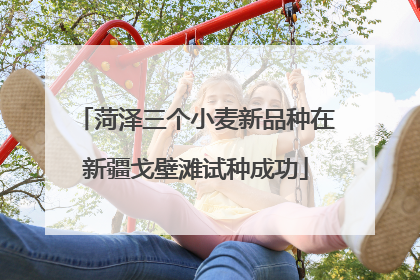 菏泽三个小麦新品种在新疆戈壁滩试种成功