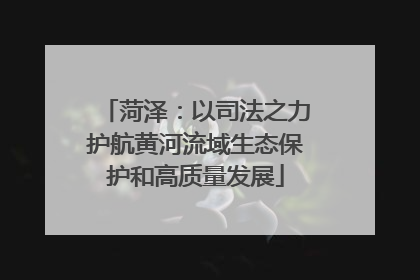 菏泽：以司法之力护航黄河流域生态保护和高质量发展