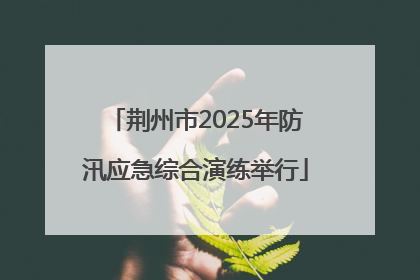 荆州市2025年防汛应急综合演练举行