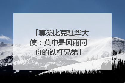 莫桑比克驻华大使：莫中是风雨同舟的铁杆兄弟