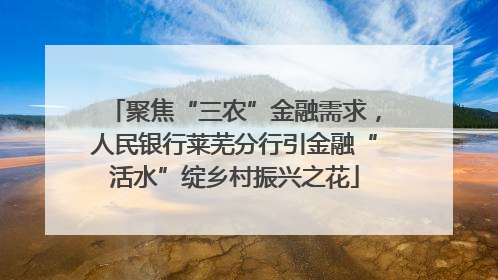聚焦“三农”金融需求，人民银行莱芜分行引金融“活水”绽乡村振兴之花