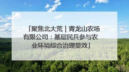 聚焦北大荒｜青龙山农场有限公司：基层民兵参与农业环境综合治理显效