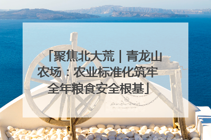 聚焦北大荒｜青龙山农场：农业标准化筑牢全年粮食安全根基