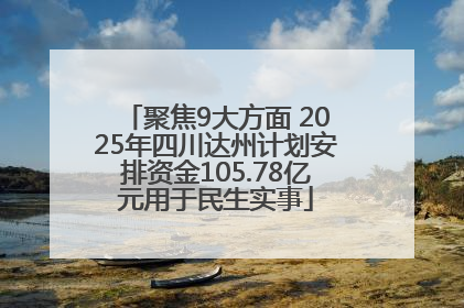 聚焦9大方面 2025年四川达州计划安排资金105.78亿元用于民生实事