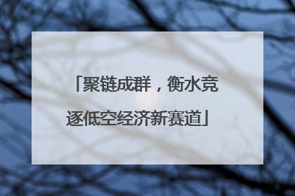 聚链成群，衡水竞逐低空经济新赛道
