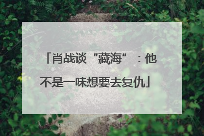 肖战谈“藏海”：他不是一味想要去复仇