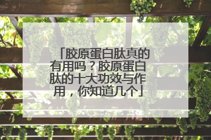 胶原蛋白肽真的有用吗？胶原蛋白肽的十大功效与作用，你知道几个