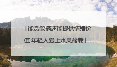 能赏能摘还能提供情绪价值 年轻人爱上水果盆栽