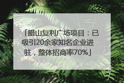 腊山复利广场项目：已吸引20余家知名企业进驻，整体招商率70%