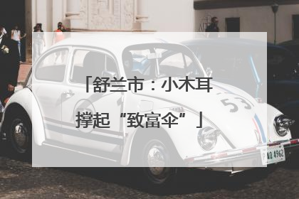 舒兰市：小木耳撑起“致富伞”