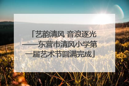 艺韵清风 音浪逐光——东营市清风小学第一届艺术节圆满完成