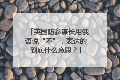 英国防参谋长用俄语说“不”，表达的到底什么意思？