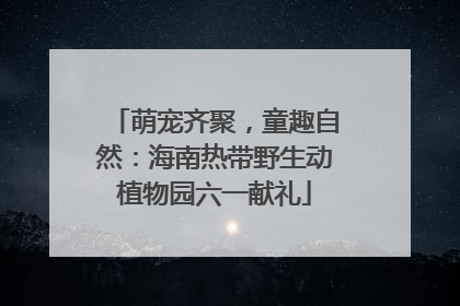 萌宠齐聚，童趣自然：海南热带野生动植物园六一献礼