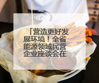 营造更好发展环境！全省能源领域民营企业座谈会在郑州召开