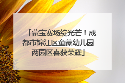 蒙宝赛场绽光芒！成都市锦江区童蒙幼儿园两园区喜获荣耀