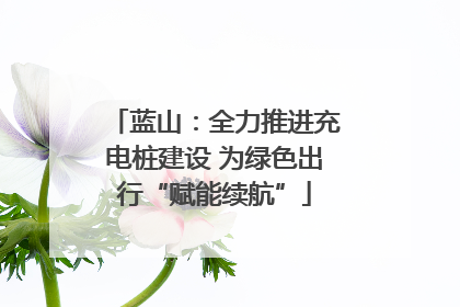 蓝山：全力推进充电桩建设 为绿色出行“赋能续航”