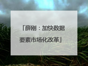 薛刚：加快数据要素市场化改革