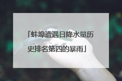蚌埠遭遇日降水量历史排名第四的暴雨
