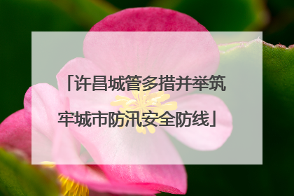 许昌城管多措并举筑牢城市防汛安全防线