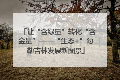 让“含绿量”转化“含金量”——“生态+”勾勒吉林发展新图景
