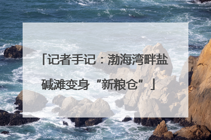 记者手记：渤海湾畔盐碱滩变身“新粮仓”