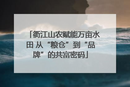 衢江山农赋能万亩水田 从“粮仓”到“品牌”的共富密码