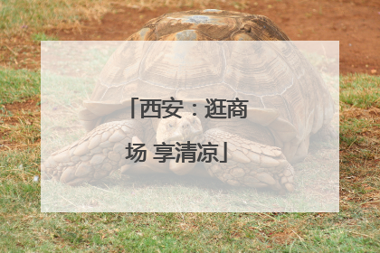 西安：逛商场 享清凉