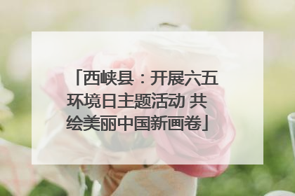 西峡县：开展六五环境日主题活动 共绘美丽中国新画卷