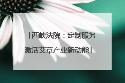 西峡法院：定制服务激活艾草产业新动能