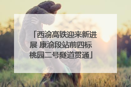 西渝高铁迎来新进展 康渝段站前四标桃园二号隧道贯通