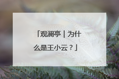 观澜亭｜为什么是王小云？
