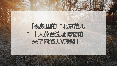 视频里的“北京范儿”｜大葆台遗址博物馆来了网络大V联盟
