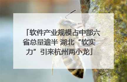 软件产业规模占中部六省总量逾半 湖北“软实力”引来杭州两小龙