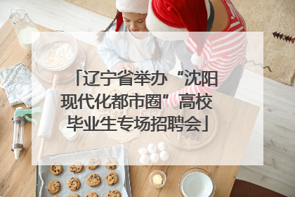 辽宁省举办“沈阳现代化都市圈”高校毕业生专场招聘会