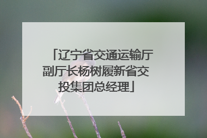 辽宁省交通运输厅副厅长杨树履新省交投集团总经理
